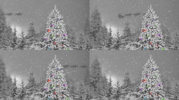 森林中的圣诞树平安夜西方过年雪天雪景