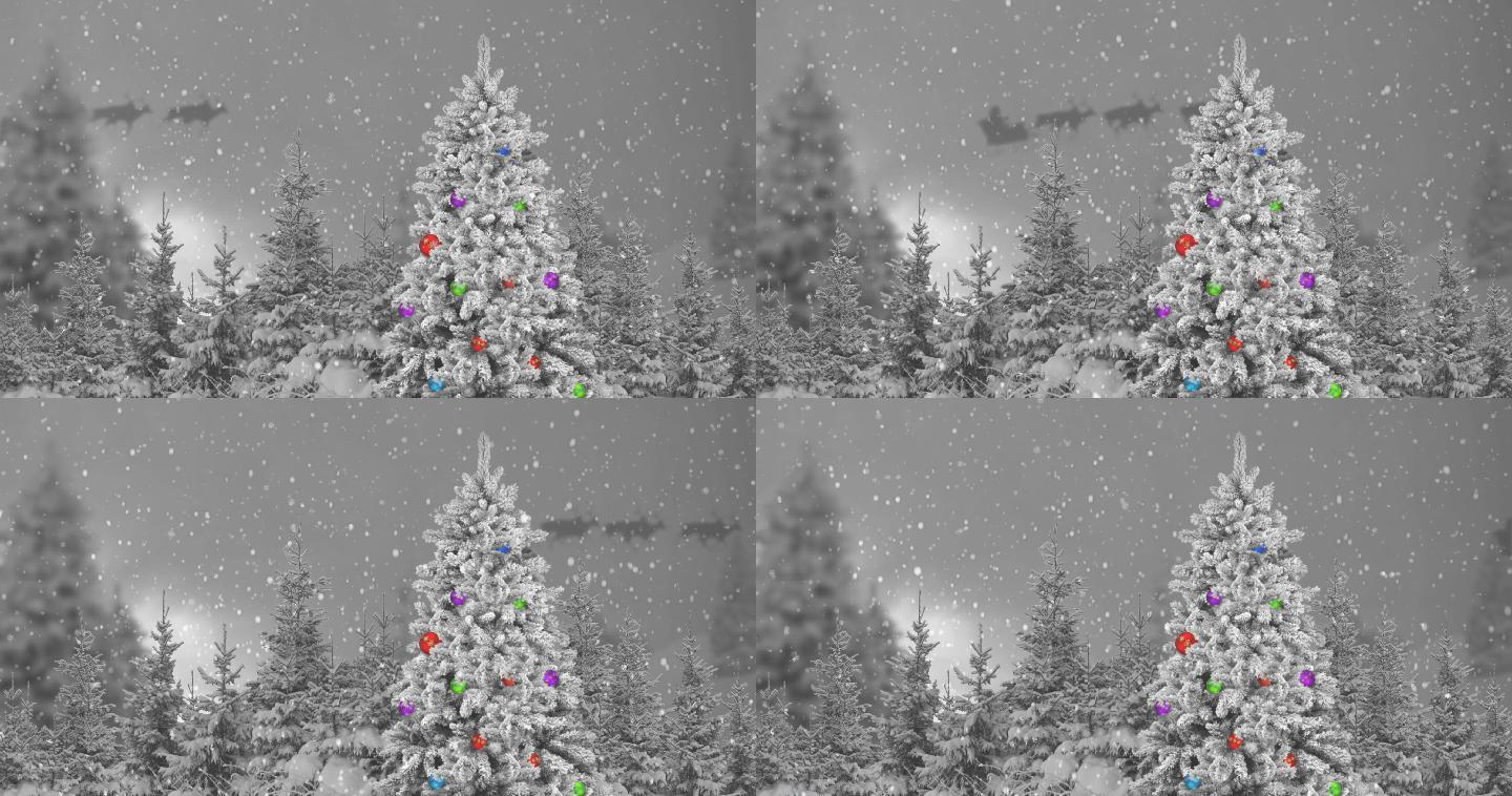 森林中的圣诞树平安夜西方过年雪天雪景