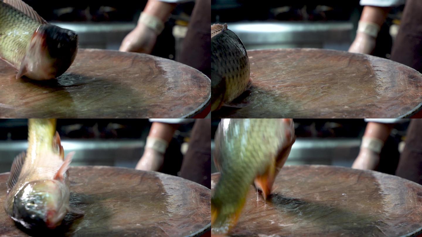 大鲤鱼镜头拍摄b