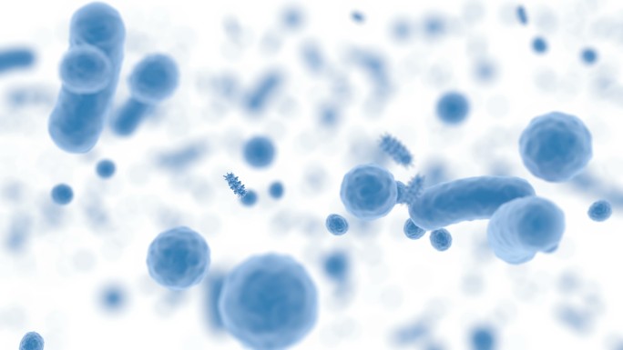 蓝体微生物群细菌病毒感染