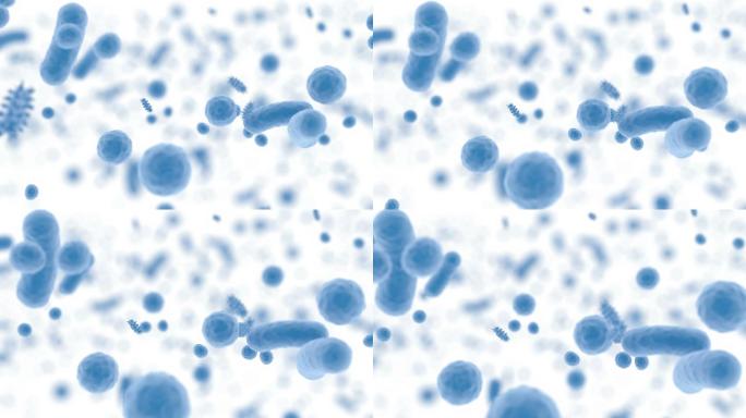 蓝体微生物群细菌病毒感染