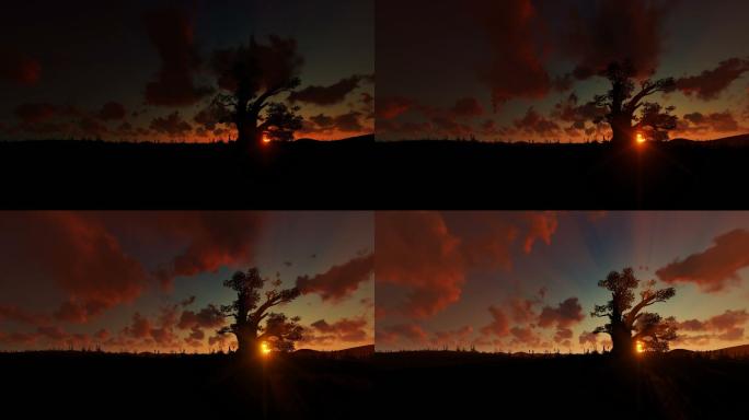 猴面包树和日出天空云层日出火烧云日落蓝天