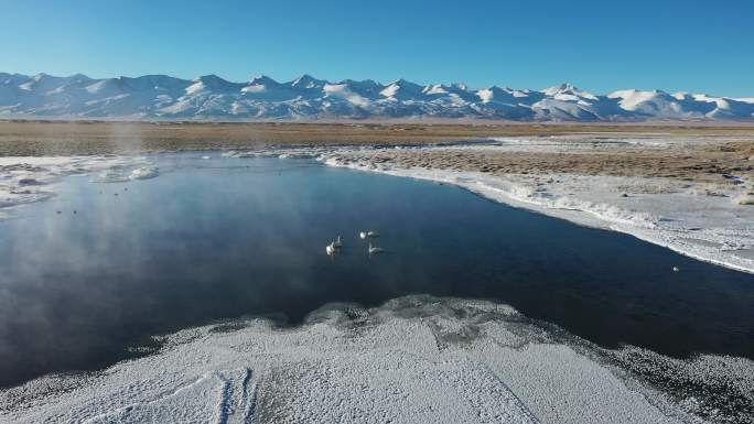 航拍冬季雪山河流天鹅