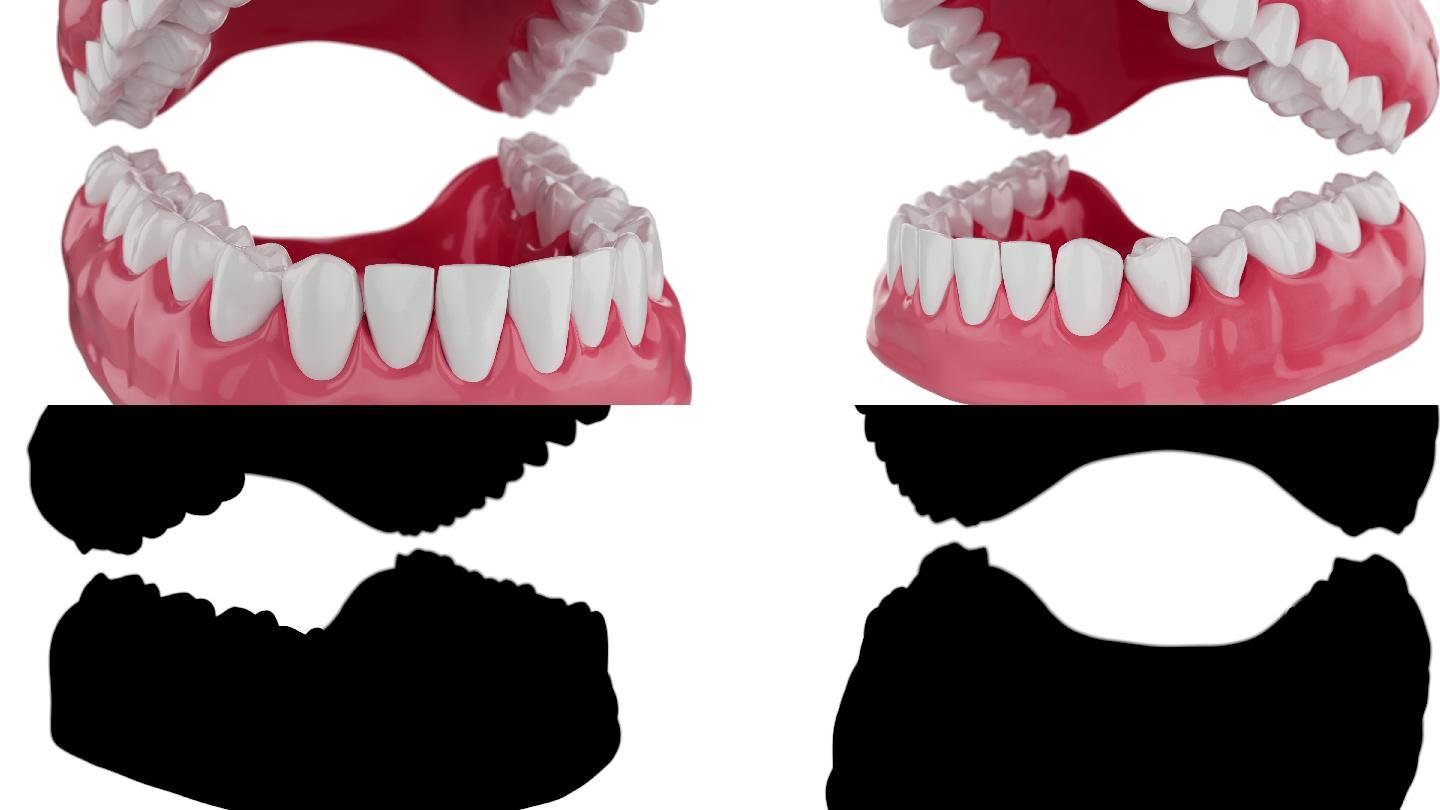 美丽干净的牙齿3D动画