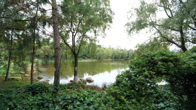 池塘边地拍镜头