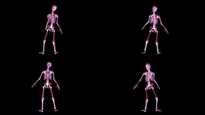 骨骼的动画视频素材特效骨架关节动态模拟