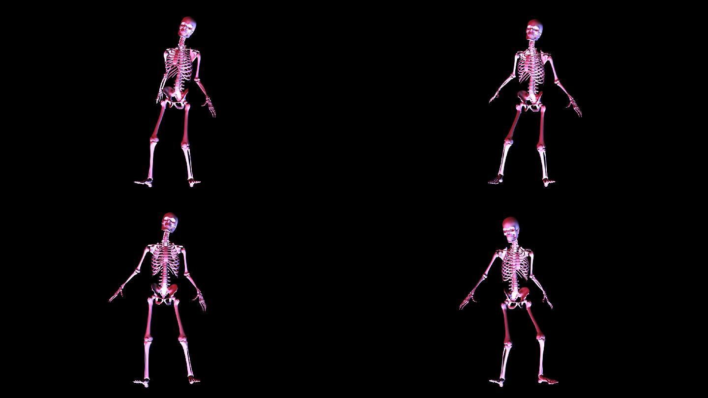 骨骼的动画视频素材特效骨架关节动态模拟