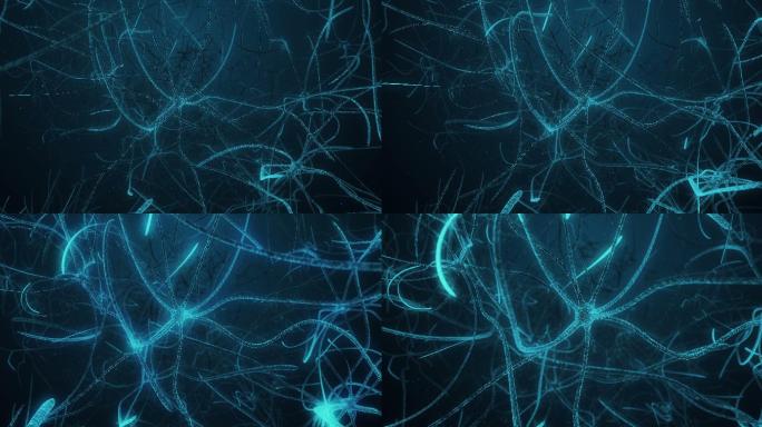 神经元突触过程在神经元组织中的传播