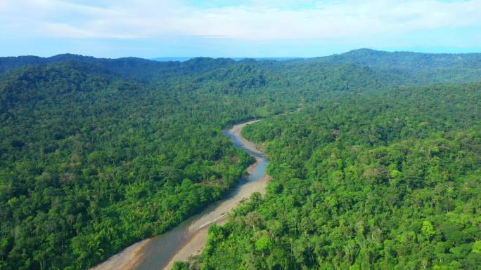南美洲热带森林亚马逊河流原始森林密林降雨