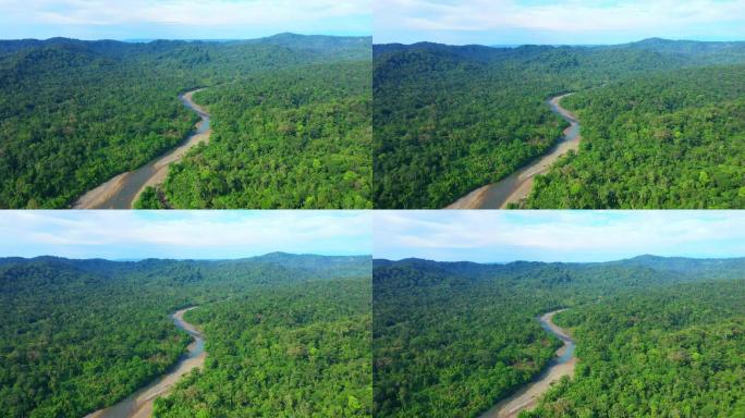 南美洲热带森林亚马逊河流原始森林密林降雨