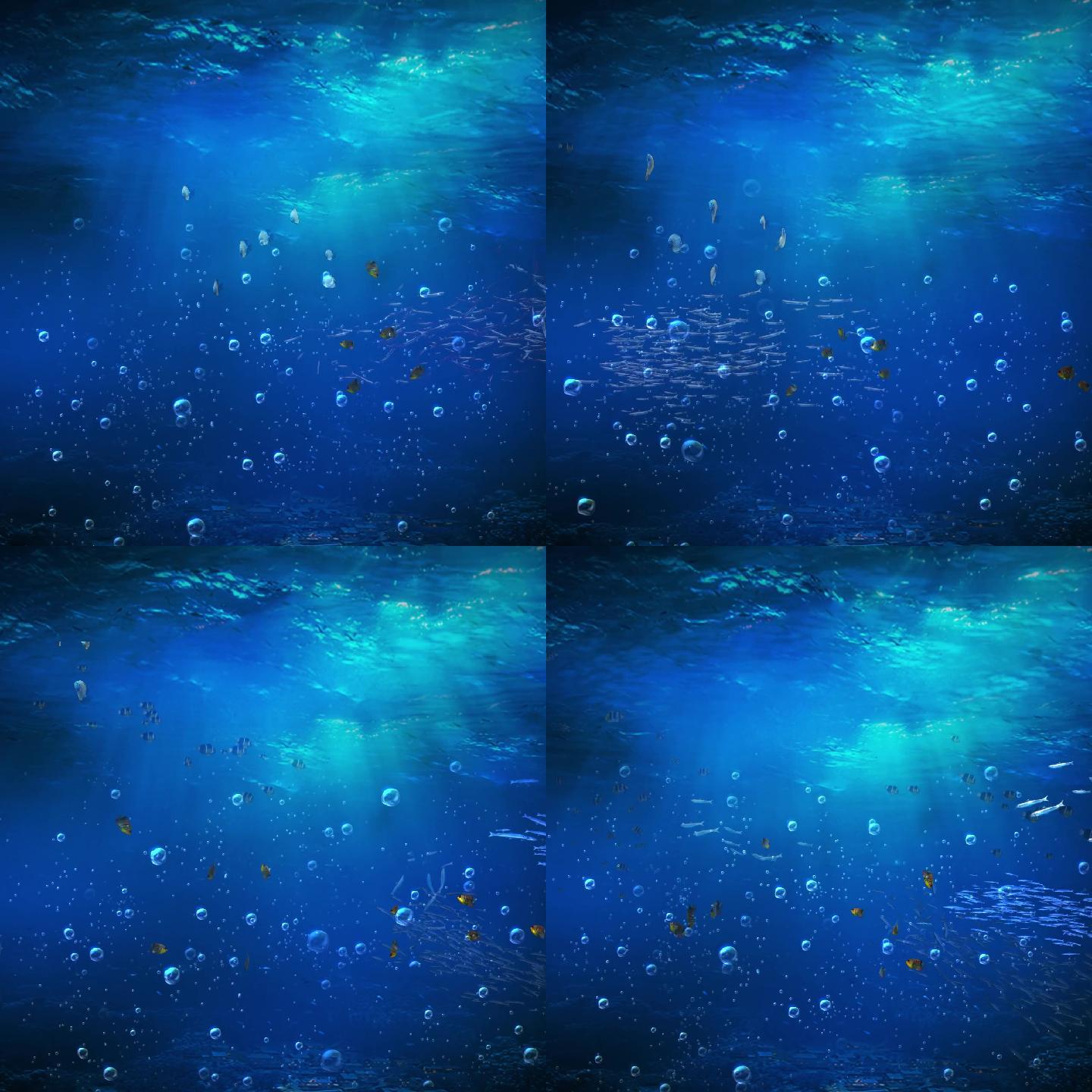 海底 海水 海面 气泡 海底世界 鱼群