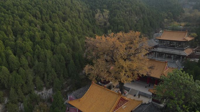 济南淌豆寺