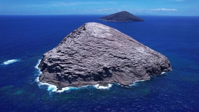 海洋上岩石岛海鸥飞翔的大气航拍素材