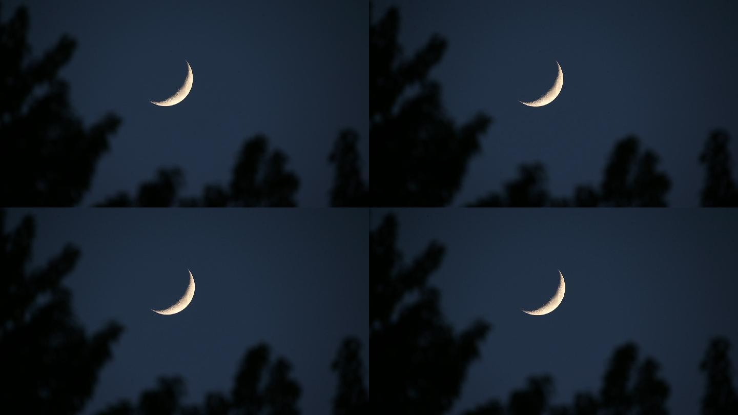 天空中的新月夜空月夜实拍素材摇曳的柳树夜