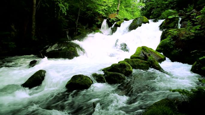 绿溪优质天然清纯水源甘冽大自然生态森林树