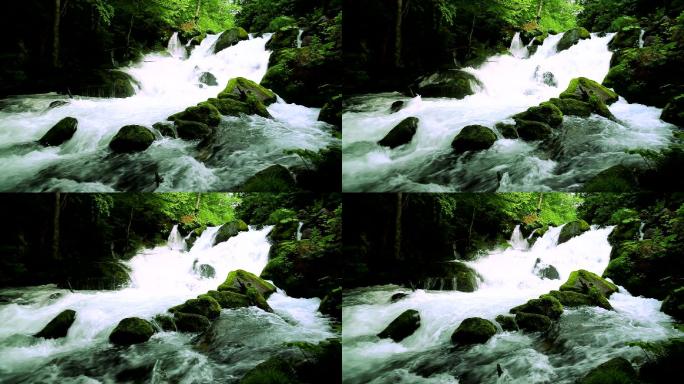绿溪优质天然清纯水源甘冽大自然生态森林树