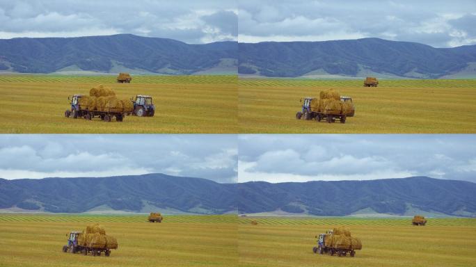 农业机械的收割水稻谷农业丰收稻田小麦粮食