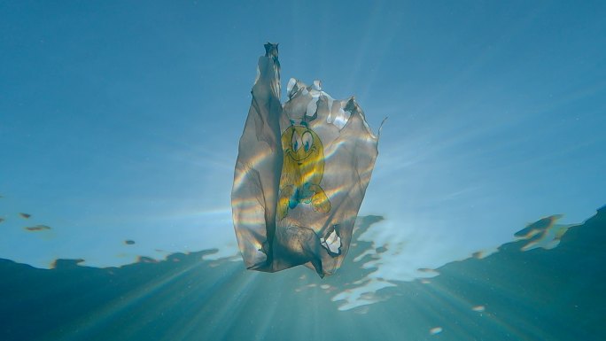 海洋污染南极北极海水