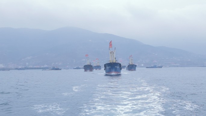 海洋船队 出海 航海 捕捞 海洋