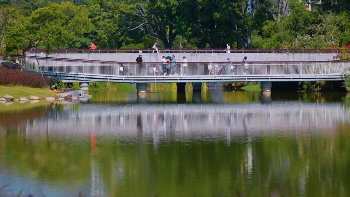公园湖畔桥