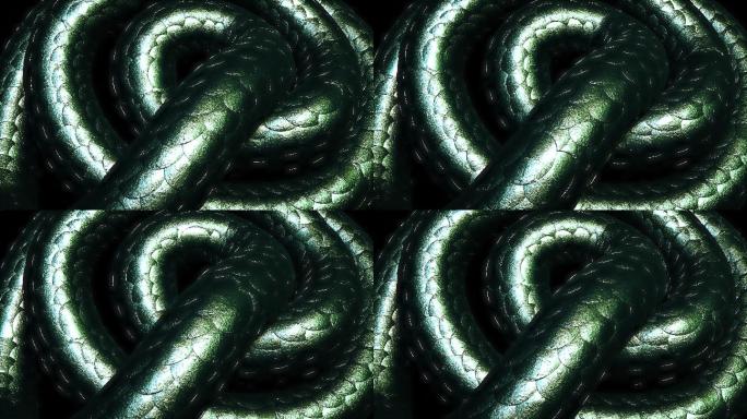 3d蛇皮图案滑行蟒蛇毒蛇空镜