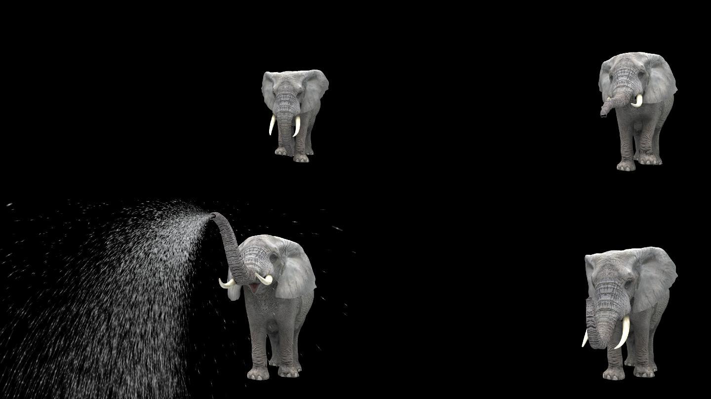 大象喷水