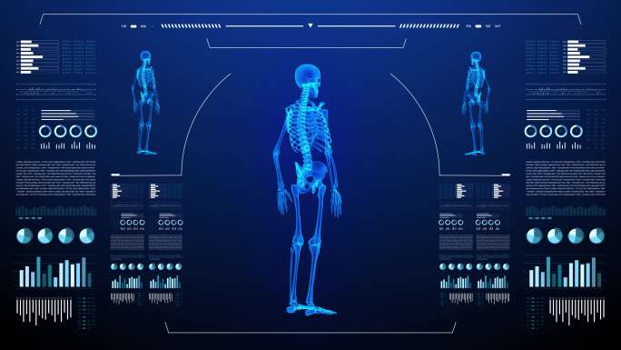 诊断计算机显示人体骨骼研究。