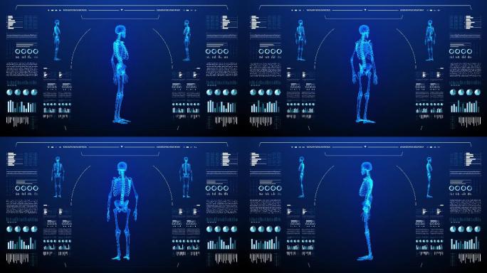 诊断计算机显示人体骨骼研究。