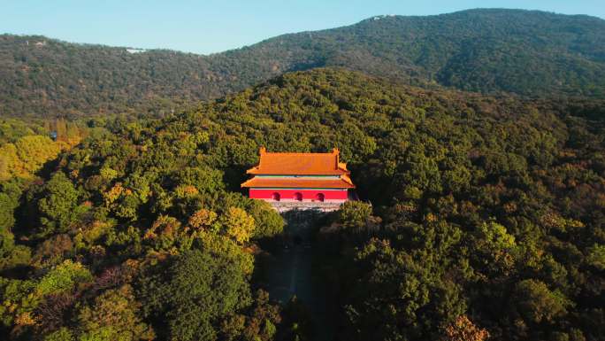 南京明孝陵神道秋景4K航拍