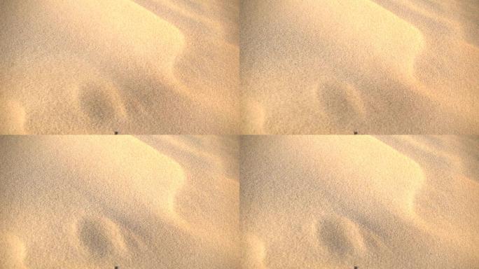 强风吹着金色沙丘上的沙粒