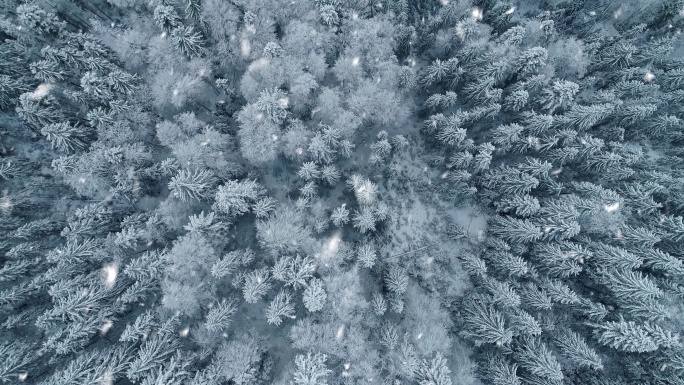 无人机视角下的雪景