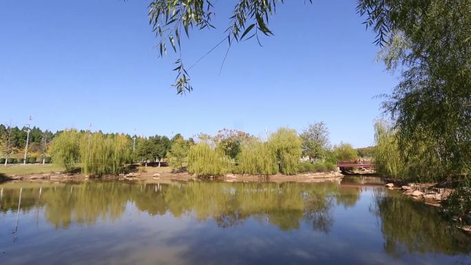 植物园湖景-gjq
