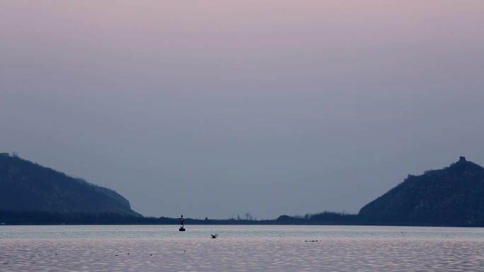 原创视频素材 大海 晨曦 黎明  海鸥