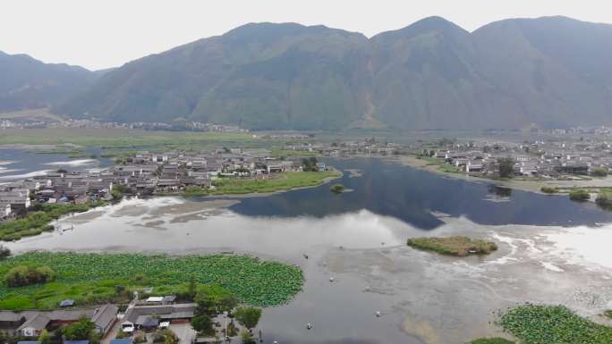 大理航拍 稻田风光