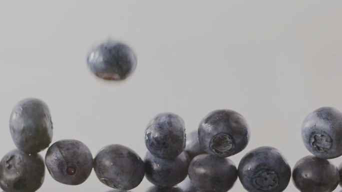 成熟的大蓝莓视频素材