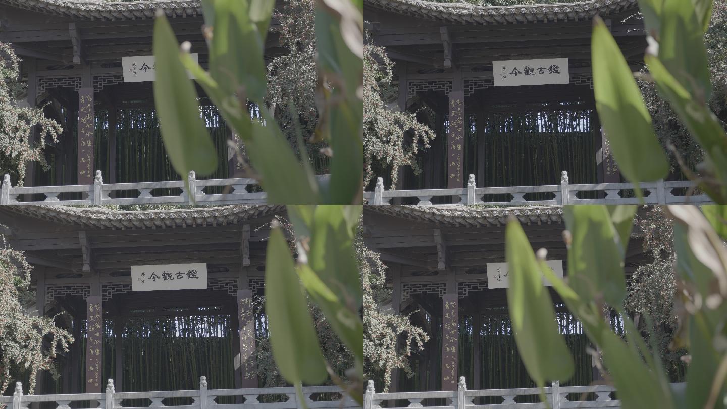 中式园林内镜特写素材