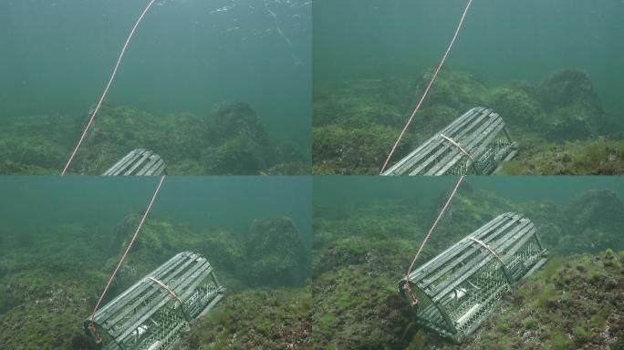 捕龙虾器海洋公园珊瑚礁水下潜水