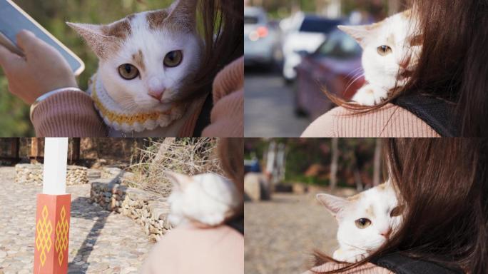 抱着小猫咪出游胆小喵喵叫的中华田园白橘猫