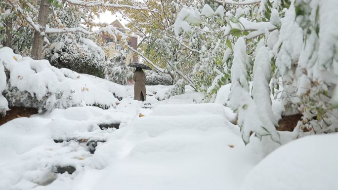 园区雪景人物背影拍摄