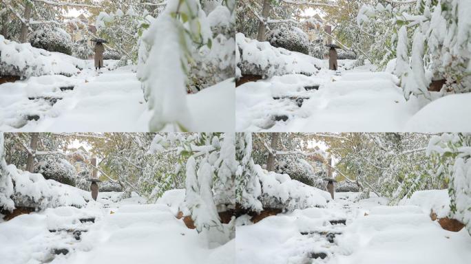 园区雪景人物背影拍摄