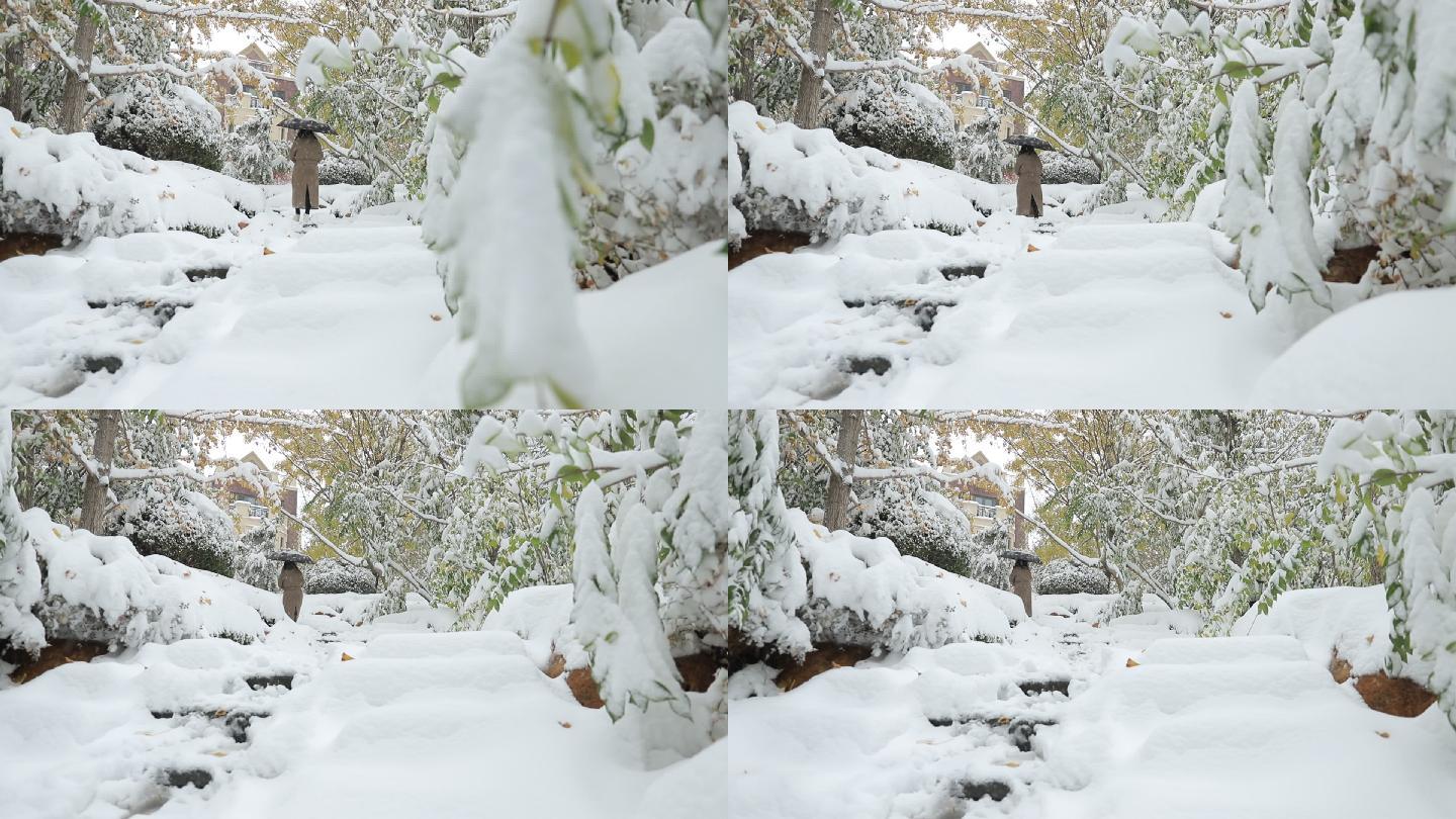 园区雪景人物背影拍摄