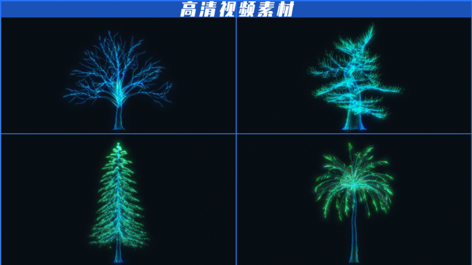 全息植物树生长动画_视频素材