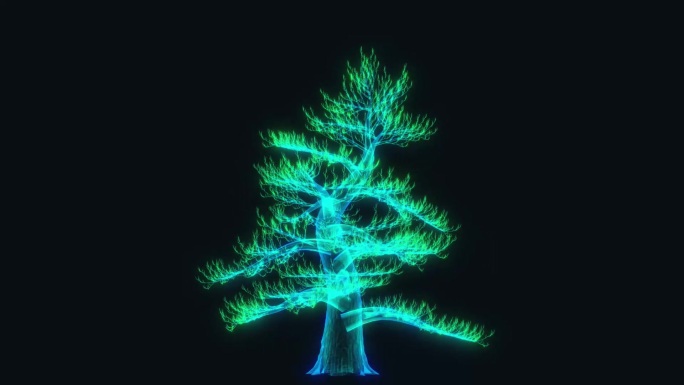 全息植物树生长动画_视频素材