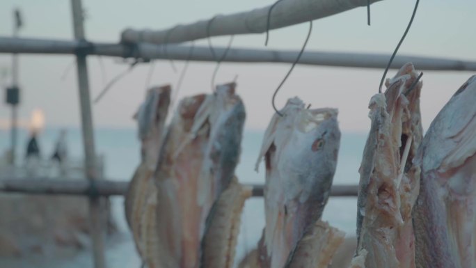 海边  海滨  海浪空镜