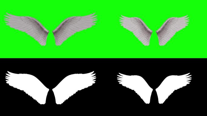 天使之翼动画循环