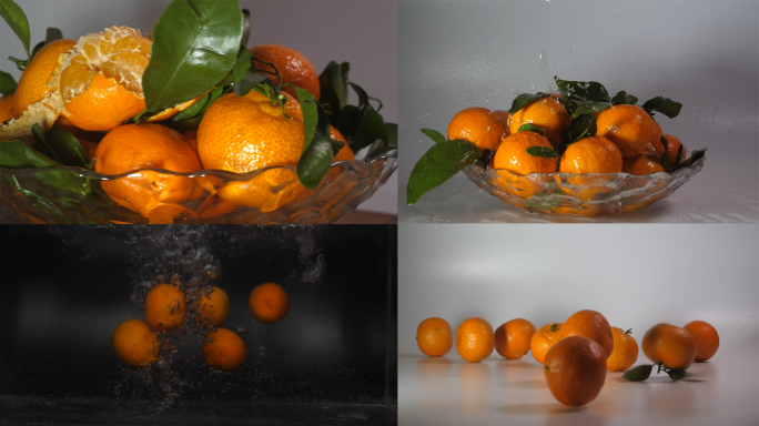 砂糖橘 橘子 水果 新鲜 水花