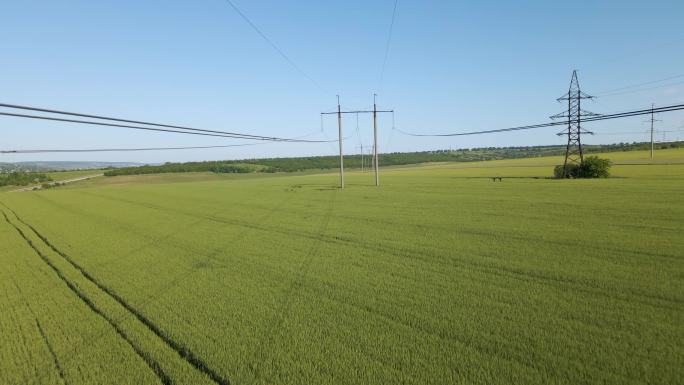 高压电塔和麦田水稻谷农业丰收稻田小麦粮食