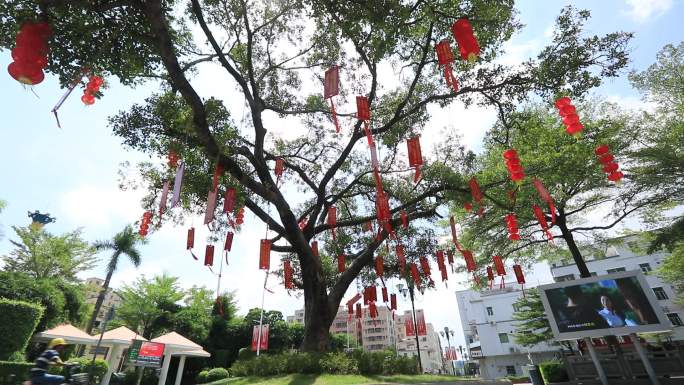 燕川村宝安一大旧址