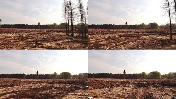 森林砍伐森林砍