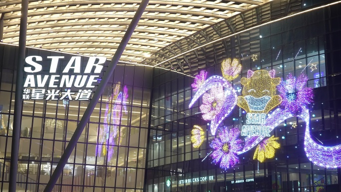 夜晚杭州滨江区星光大道商业中心入口